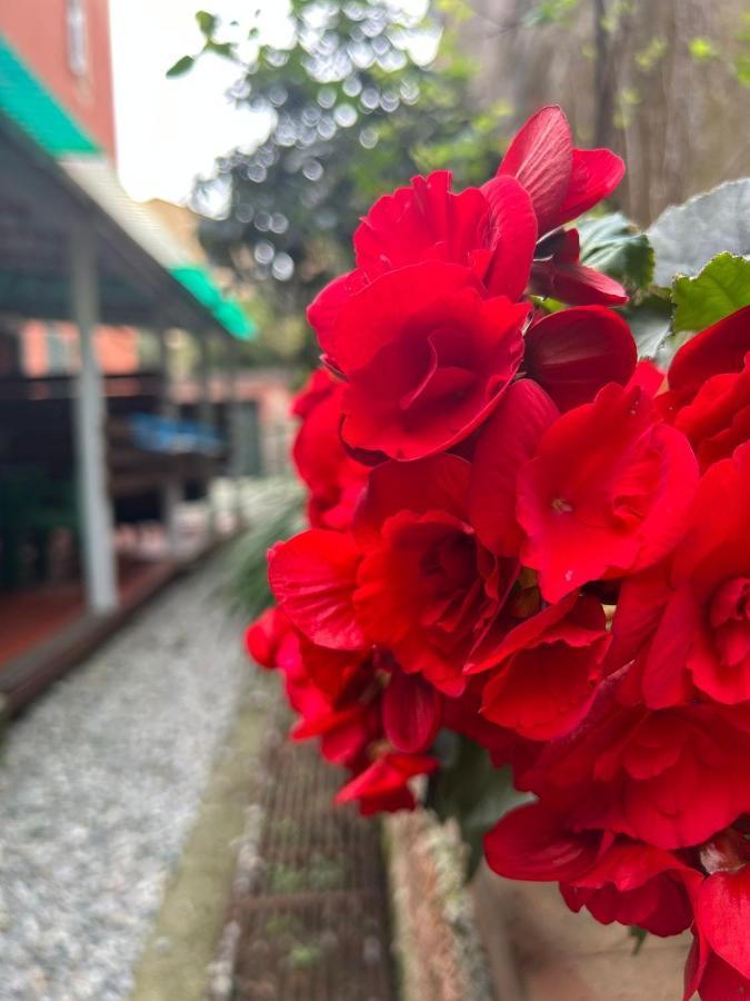 Curpi De Ma Hotel Bonassola Buitenkant foto